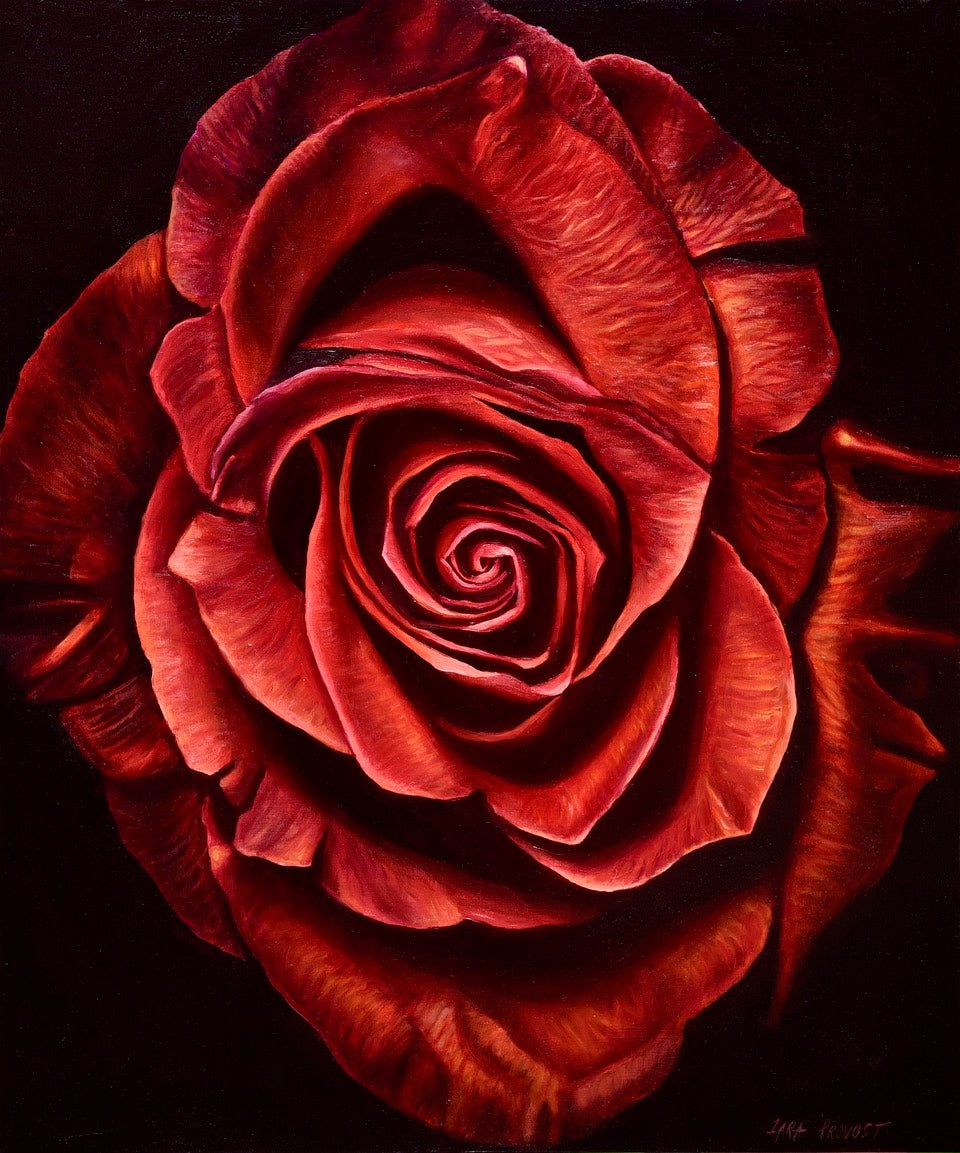 Heart of the Rose
