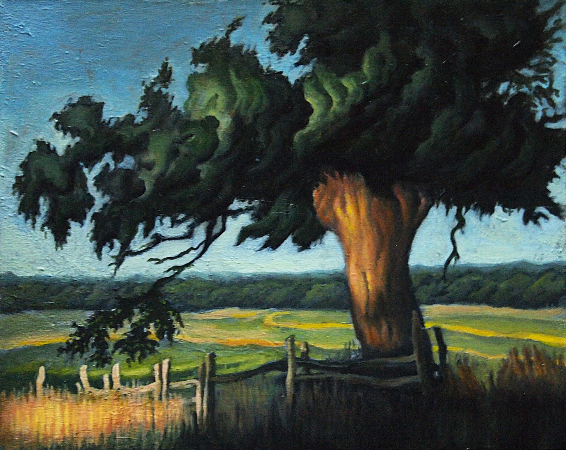 Escarpment Country Oak Tree