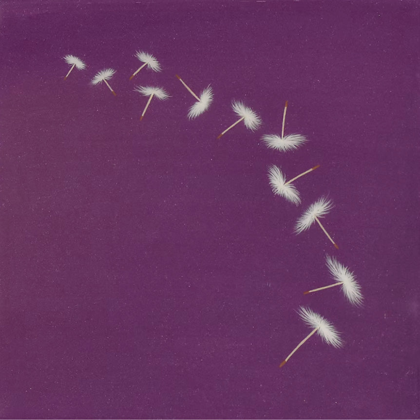Wishes on Purple, 12" x 12"